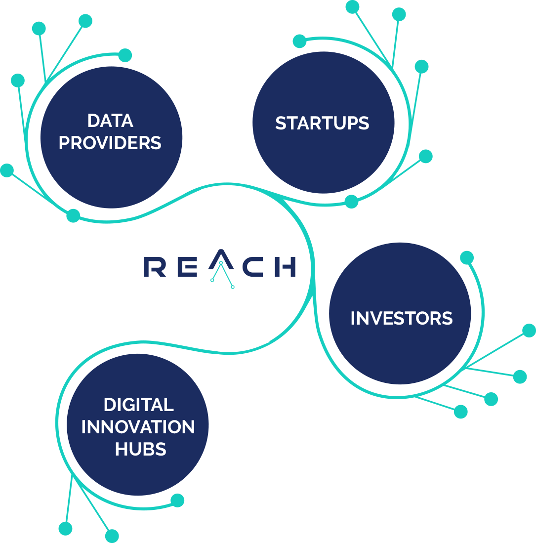 Reach-EcoSystem