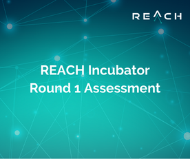 REACH Incubator impact assessment – we spoke directly to the startups