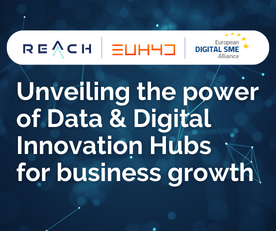 Unveiling the power of Data & Digital Innovation Hubs for business growth